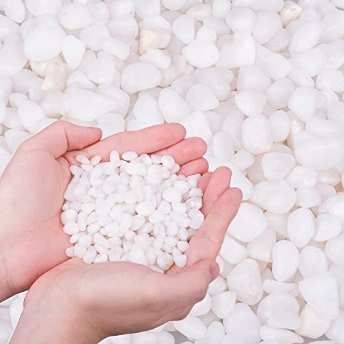 6.0 LB White Polished Pebbles 3/8", Natural Decorative Smooth River Rocks, Gravel Size White Small Pebble Stone for Succulent, Bonsai, Potted Plants, Landscaping, Fairy Garden, Aquarium - size: 6.0 LB