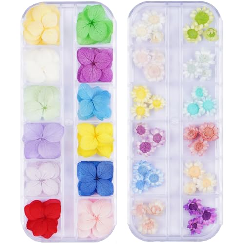 96Pcs Small Dried Pressed Flowers for Crafts,Xinxinran Tiny Dry Flower Kit for Nail Art,Epoxy Resin Accessories,Bookmark,Nails, Jewelry Making,Candle,Soap,Resin Molds(2 Boxs) - color: Mini Flowers 96pcs