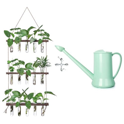 XXXFLOWER Wall Hanging Propagation Station with Wooden Stand 5 Glass Test Tubes 3 Tiered + 2L Long Green Spout Removable Nozzle Flower Watering Pot