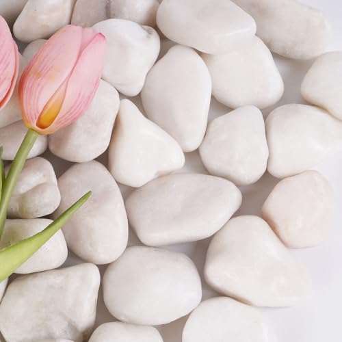 10 lbs White River Rocks, 1-2 inch Polished Decorative Stones - color: White, size: 1-2 Inch 10 LB