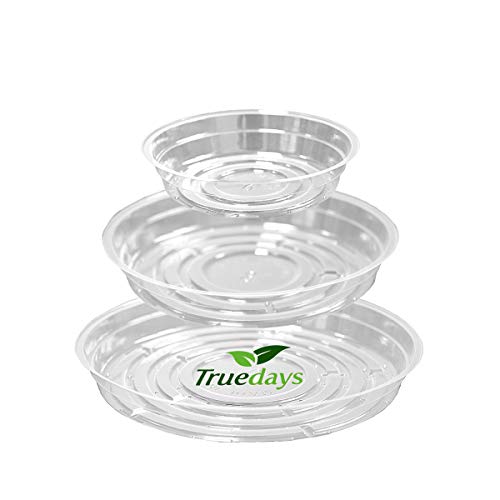 TRUEDAYS 15 Pack(6 inch/8inch/10inch) Clear Plant Saucers Flower Pot Tray Excellent for Indoor & Outdoor Plants - size: 15-Pack (6''+8''+10'')