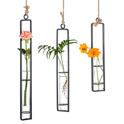 Sziqiqi Hanging Glass Propagation Tube Vase, Hydroponic Vases, Black, 3Pcs - color: Black, size: Small/Medium/Large (Set of 3)
