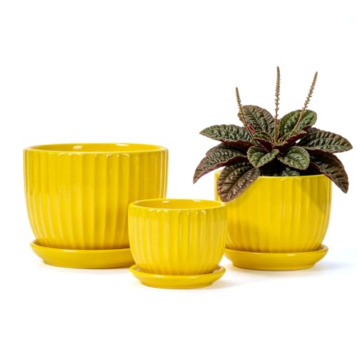Ceramic Planters,Yellow Plant Pots with Drainage Holes and Saucers Set of 3 | Colorful Ceramic Planters for Indoor Plants | Medium Plant Pots | Cute Herb Planting Pots | Decorative Garden Pots - color: Yelllow