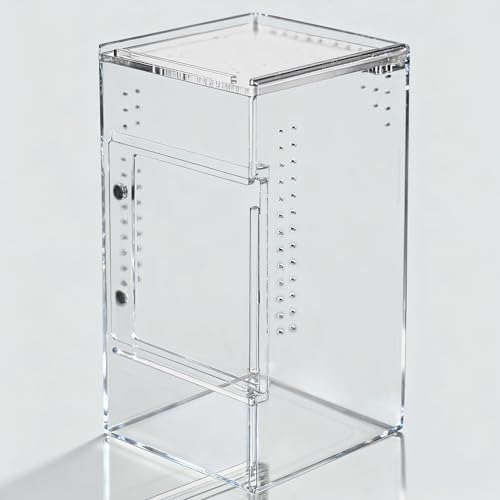 3x3x6 Acrylic Reptile Enclosure for Jumping Spiders & Mantises - size: 3"3"6"
