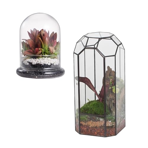 NCYP Glass Dome Cloche and Terrarium Bundle - Small Clear Glass Terrarium Cloche with Air Hole - Glass Dome with Base, and Tall Geometric Terrarium with Door