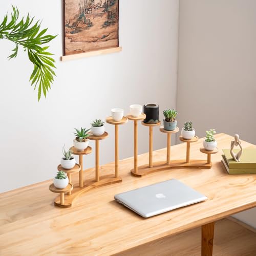 5 Tiers Desk Plant Stand Window Sill Plant Shelf Tabletop Succulent Stand Flower Pot Stand Holder Desktop Plant Stand Indoor Plant Rack for Succulent Herb in Living Room Office (Circle) - size: Circle