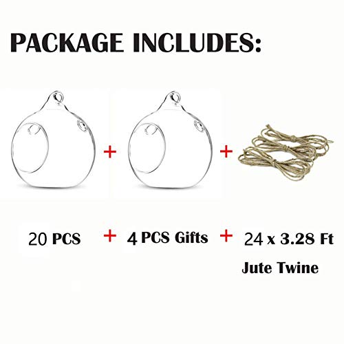 NUPTIO Hanging Glass Terrarium Globes with 2 Holes, 24 Pcs, 3.15 Inch - size: 24 Pcs