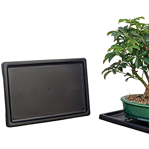 Tinyroots Bonsai Humidity Tray, 7-Inch Drip Tray, Maintains Moisture for Plants and Helps Protect Furniture, Bonsai Tray for Cactus, Succulents, Bonsai, and Houseplants - size: 7"