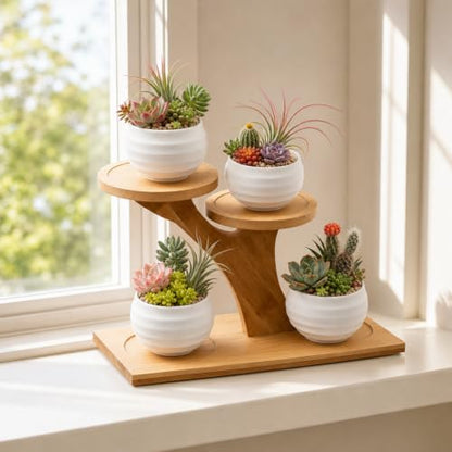 Bamboo Plant Stand, 3 Tier Window Sill Plant Shelf, Desktop Small Indoor Plant Stand, Bamboo Table Top Plant Shelf for Succulent Herb, Perfect for Window Sill, Living Room, Home Office, Patio Balcony Decor & Gift