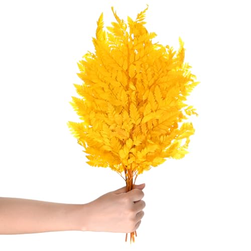 M METERXITY 10-Pack Fern, 15" Natural Dried Greenery with Stems for Wedding Garland Bouquet/Home Party/DIY Crafts Decors, Dried Plants [Yellow] - color: Yellow
