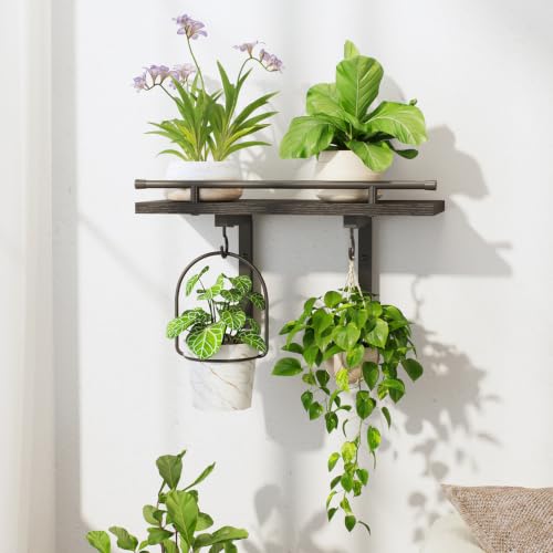 LASZOLA Wall Plant Shelves Floating Hanger Holder Indoor, Black | Window Stand with Hooks, Metal and Wood, Flower Hanging Display Rack for Bedroom Living Room Bathroom Kitchen Decor - color: Matte Black, size: 1