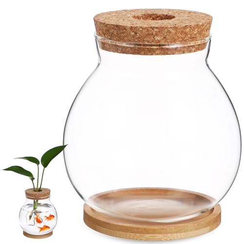 HANABASS Desktop Fish Bowl Hydroponic Terrarium Small Glass Betta Fish Tank with Wood Lid and Bamboo Stand for Home Office Decoration