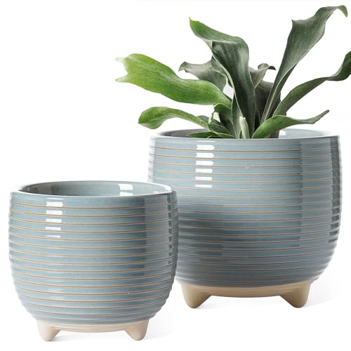 LE TAUCI Ceramic Plant Pots, 5.1 + 6.4 Inch Footed Pots for Plants, Modern Flower Pots for Home and Office, Indoor Planters with Drainage, Reactive Glaze Gray - color: Glaze Blue