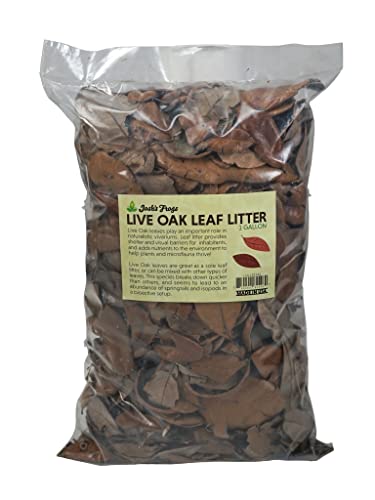 Josh's Frogs Organic Live Oak Leaf Litter, 1 Gallon/500 Leaves