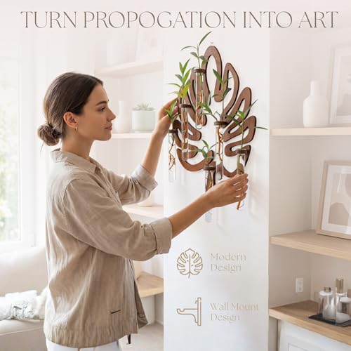 Leaf-Shaped Plant Hanging Propagation Stations with 6 Glass Vases & 1 Spare | Terrarium for Plants w/ Strengthened Glass Vases - Wooden Wall-Mounted Plant Propagation Stations for Plant Cuttings - 15”
