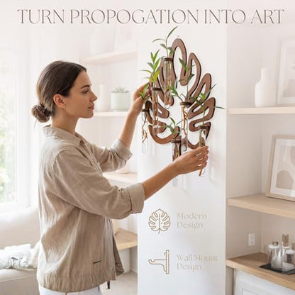 Leaf-Shaped Plant Hanging Propagation Stations with 6 Glass Vases & 1 Spare | Terrarium for Plants w/ Strengthened Glass Vases - Wooden Wall-Mounted Plant Propagation Stations for Plant Cuttings - 15”