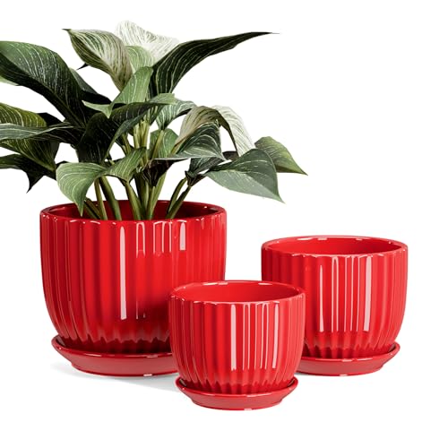 Ceramic Plant Pots Set of 3-Red Flower Pots with Drainage Holes and Saucers | Indoor Planter for Plants|Outdoor Garden Succulent Pots|4+5+6.5 Inch Flower Pots|Medium Garden Pots|Small Succulent Pots - color: Red