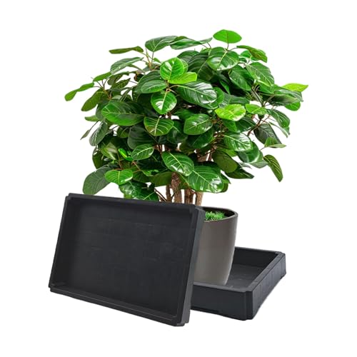 1PC Rectangular Plant Saucer Tray, 6-Inch, Resin, Heavy Duty Drip Tray - size: 6.3"x4.25"x0.83"