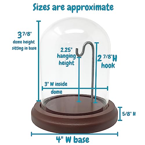 BANBERRY DESIGNS Clear Glass Display Dome with Wooden Base & Metal Hook – Set of 2 Cloche Bell Jars – 4.5" H x 4" W – Decorative Cover for Collectibles, Jewelry, Mini Plants & Crafts