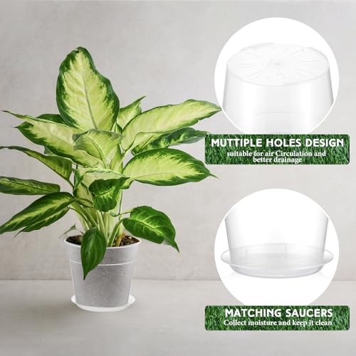 3 Pack Clear Nursery Pot,8 Inches,9.25 Inches,9.6 Inch | Drainage Hole, Large, Variety, Clear Plant Pots with Trays, Indoor Outdoor, Vegetable Propagation, Seed Starting - size: 8 Inches, 9.25 Inches, 9.65 Inches