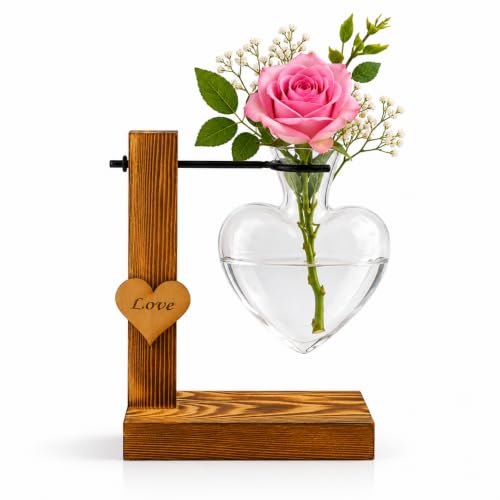 TerraSol Heart-Shaped Glass Propagation Station with Rustic Wooden Stand, Single Vase Hydroponic Planter, Love Accent Decor (One Heart) - size: One Heart