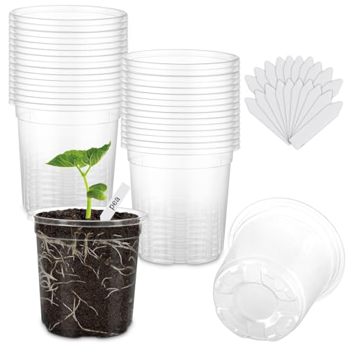 30 Pack Clear Nursery Plant Pots, 4 Inch with Drainage Holes, 20 Labels - size: 4 inch 30p