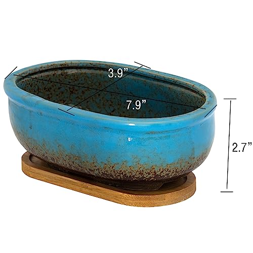 ARTKETTY Succulent Pots, 7.9'' Large Ceramic Pots for Indoor Cactus Plants - color: Blue