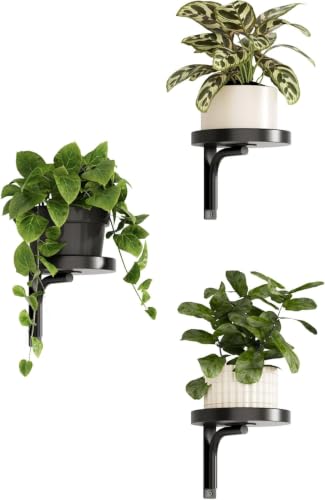 Bamworld Wall Plant Holder indoor Metal Plant Wall shelf 3 Pcs Wall Mounted Plant Holder Plant Hangers for Indoor Outdoor Decor Black - color: Black-3pcs