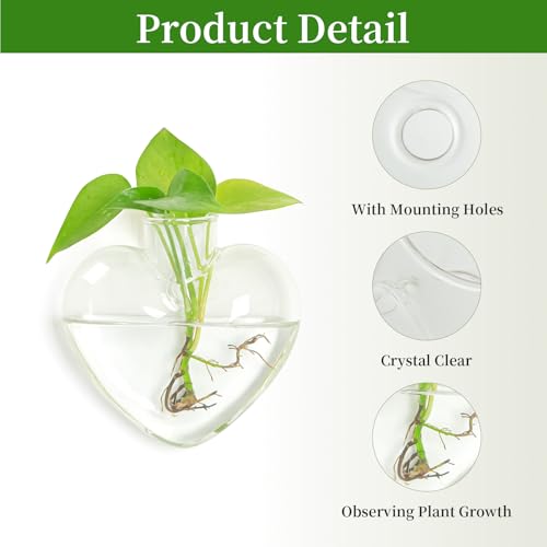 XXXFLOWER Propagation Wall Hanging Vases Planters, 2 Pack Love Water Vases | Planters Propagation Station, Wall Hanging Plant Holder Air Plant Terrariums for Hydroponic Plants, Home Office Decor Gifts - size: 2 Love Wall Hanging