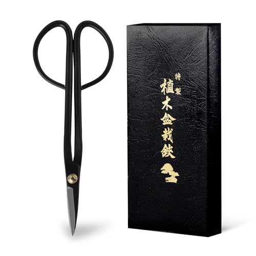Hanafubuki Wazakura Twig Bonsai Scissors Made in Japan 7inch(180mm), Japanese Bonsai Garden Tools, Hasami Pruning Shears - Black - color: Twig 7"