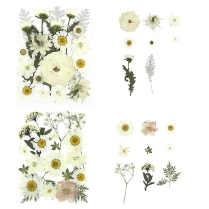 80Pcs Pressed Flowers, White Dried Flowers Natural Pressed Flowers Bulk for Resin Molds, Nail Art, Scrapbooking, Candle Holder, Jewelry Making, Real Dried Pressed Flowers DIY Crafts Kit - color: Multi Color-14