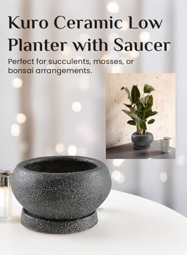 Serene Spaces Living Kuro Ceramic Low Planter with Saucer – Modern Textured Pot for Succulents, Cactus & Indoor Décor, Mini Black Planter, 5" Diameter & 2.9" Tall, Pack of 4 - size: Pack of 4