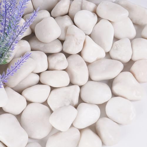 5 lbs White River Rocks, 1-2 inch White Landscaping Rocks - color: White, size: 1-2 Inch 5 LB
