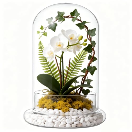 UNICRAFTALE 8.27" Inch High Clear Cloche Glass Dome with Base Handmade Glass Cloche Antique Collectibles Dome Showcase Decorative Bell Jar for Fairy Lights Plants Medal Photos Table Decor - size: 8.27" Inch High
