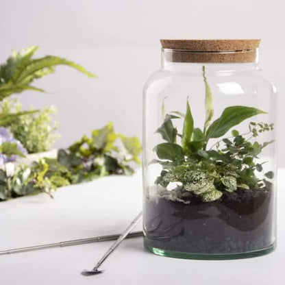 Esschert Design AGG69 Half Open Terrarium Bottle Medium