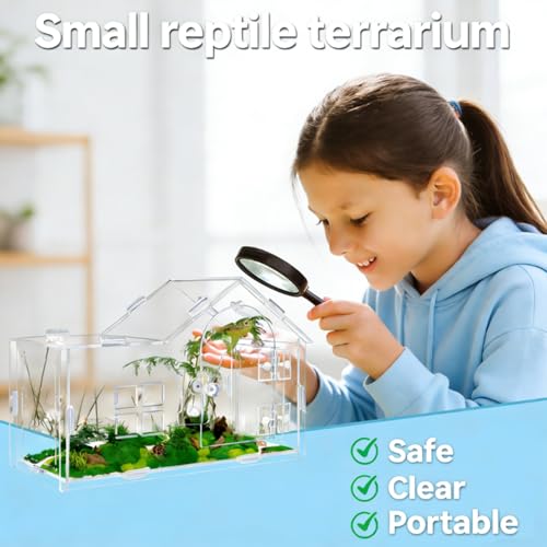 Jumping Spider Enclosure, Acrylic Habitat, 1 Pack