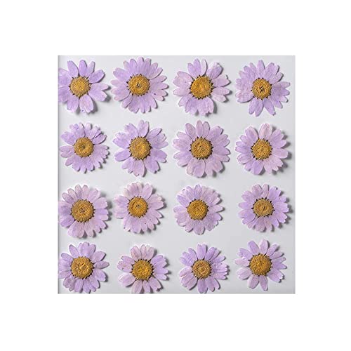 50pcs Natural Dried Daisy Flower, Vacuum Packaging, Pressed Flower for House Decoration, Jewelry Making, Phone case Decoration (Light Purple) - color: Light Purple