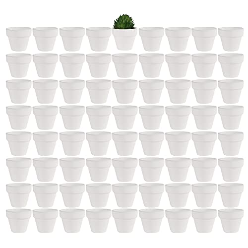 Yishang 1.9 Inch Tiny White Terracotta Pots Pack of 72-Small Mini White Clay Pots with Drainage Holes Flower Nursery Terra Cotta Planter for Tiny Cactus,Herb,Succulent Plants,Crafts - color: White