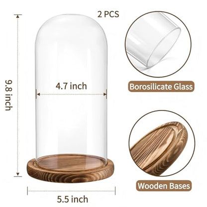 2 Pack Glass Cloche Display Dome, 10 Inch Large Decorative Glass Bell Jar, Clear Dome Showcase with Dark Brown Wooden Base, for Plants, Medals, Photos, Antique Collectibles, Mother's Day