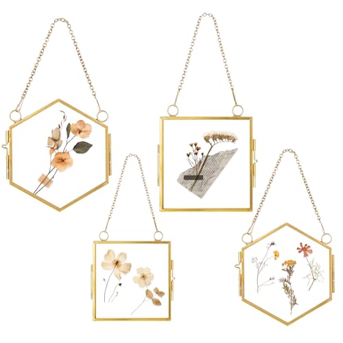 Glass Frame for Pressed Flowers, 4 Pcs Vintage Mini Brass Multi-Shape Double Glass Floating Frames with Metal Chain – Pressed Flower Hanging Display for Home Wall Decor, DIY Artwork & Gifts