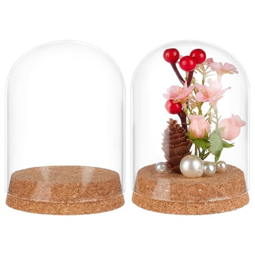 BENECREAT 2 Pcs Glass Display Cloche, 3x4.1 inches Bell Jar Dome with Cork Base, Display Dome Glass for Flower, Plant, Miniature and Craft, Home Decoration, ID: 3 inches - size: 3x4.1 Inch