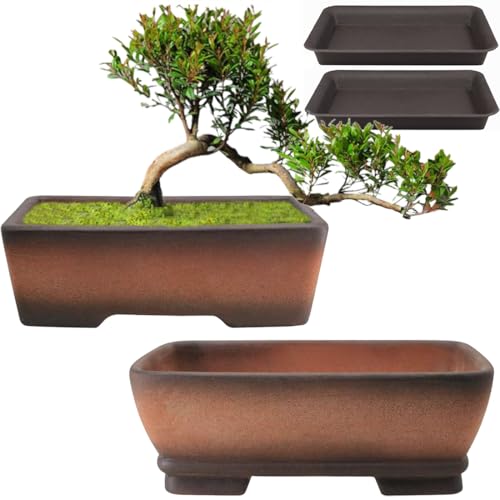 MUZHI Decorative Ceramic Bonsai Planter Pot 8.5 Inch with Tray, Breathable Unglazed Rectangle Terracotta Clay Pot for Tree Succulent Cactus Indoor Outdoor Red Brown (2Pcs 6" Rectangle)