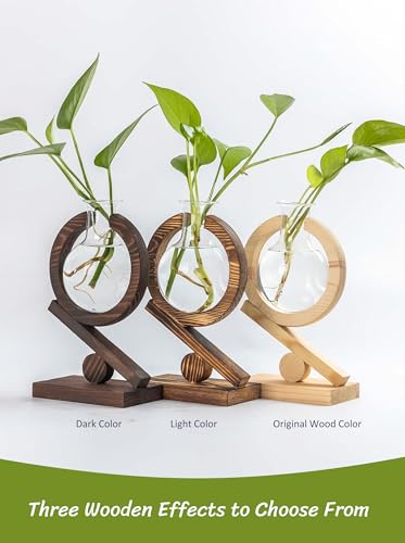 Glass Plant Propagation Station with Wooden Stand, Natural Wood - color: Natural Wood