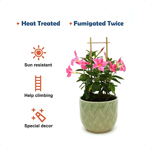 COLOtime 3Pack Bamboo Trellis 16 Inch Ladder Shaped Small Plant Trellis for Indoor Potted Plants Climbing Monstera Orchid Vine Hoya Houseplant - size: Ladder shaped, 3 Pack