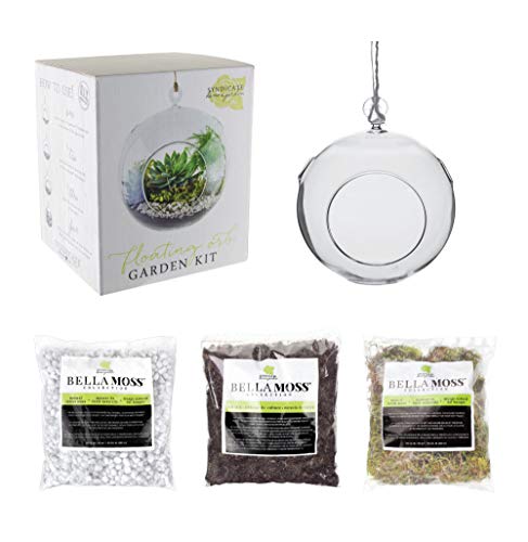 Syndicate Home & Garden Floating Orb Garden Kit, Includes Glass Container, Stone, Soil and Moss