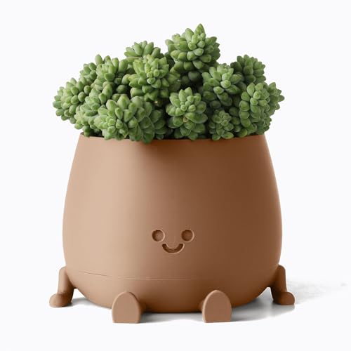 TOPOLA Happy Face Planter, 5.2 Inches Plastic Plant Pot, Self Watering Plant Pot with Drainage Holes for Indoor Outdoor, Succulent Pot, Funny Flower Pot, Khaki - color: Khaki