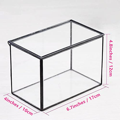 NCYP Small Glass Terrarium Planter with Lid, 6.7 x 4 x 4.8 Inch, Black | Tabletop Closed Terrarium Container for Succulents, Air Plants, Fern, Moss - Rectangle Clear Glass Display Box (No Plants)