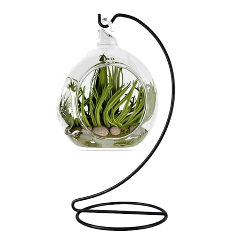 9 Inch Black Ornament Display Stand, Metal Ornament Hanger Stand for Hanging Glass Globe(5inch), Air Plant Terrarium, Witch Ball, Christmas Ornament and Home Wedding Decoration (1, 9x4 Black) - size: 9x4" Black