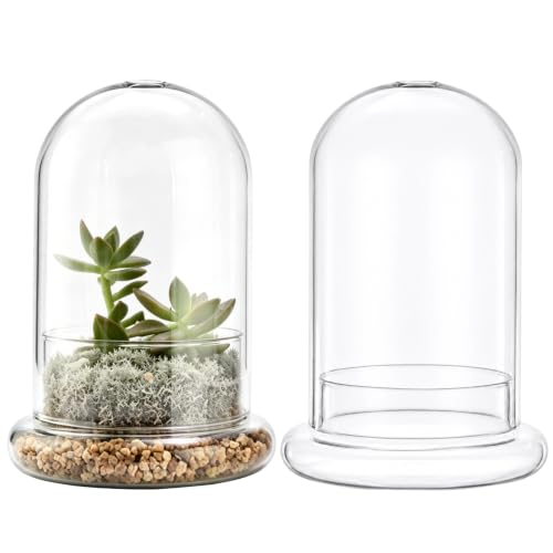 2 Pcs Glass Display Cloche Dome, 8.3 x 5.9 in Plant Terrarium Container with Base & Top Vent Hole, Clear Glass Cover, Decorative Tabletop Display Case for Plants, Flowers, Collectibles & Keepsakes