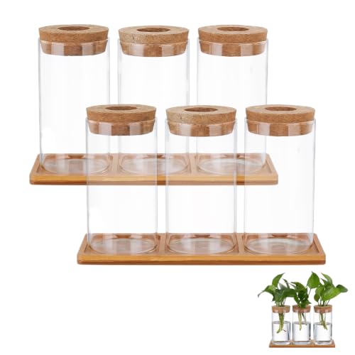 NBEADS 6Pcs Propagation Stations, Plant Terrarium with Lid and 2Pcs Wooden Stand Desktop Glass Planter Hydroponics Vase for Home Office Living Room Decor Gifts, 5.24x2.56inch